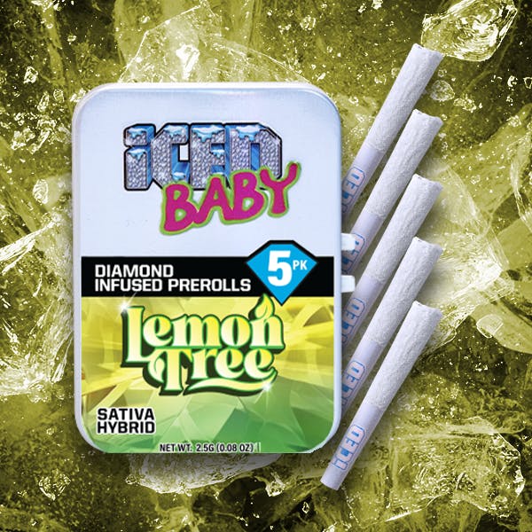 ICED — Lemon Tree