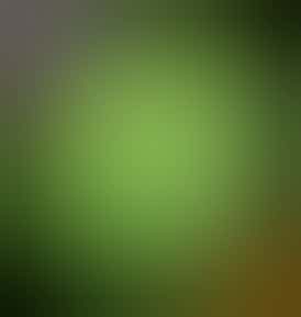 Green Label - Honey Runtz - Cold Cure 1G