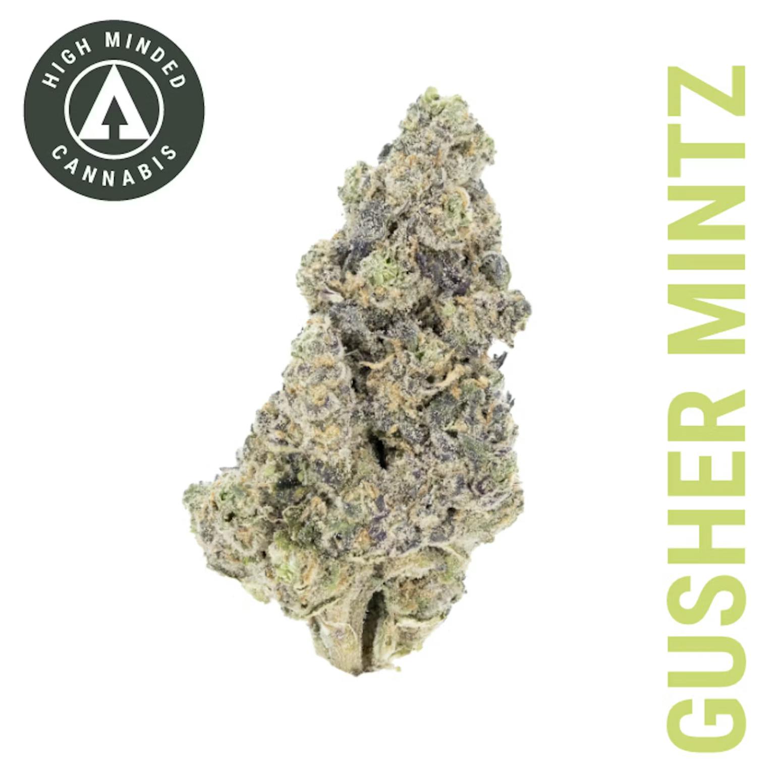 Gusher Mintz - Gold Tier - High Minded