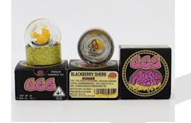 Blackberry Sherb