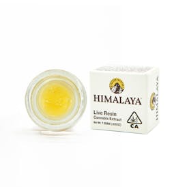 Guava Drops - Terp Sugar Concentrate - 1G