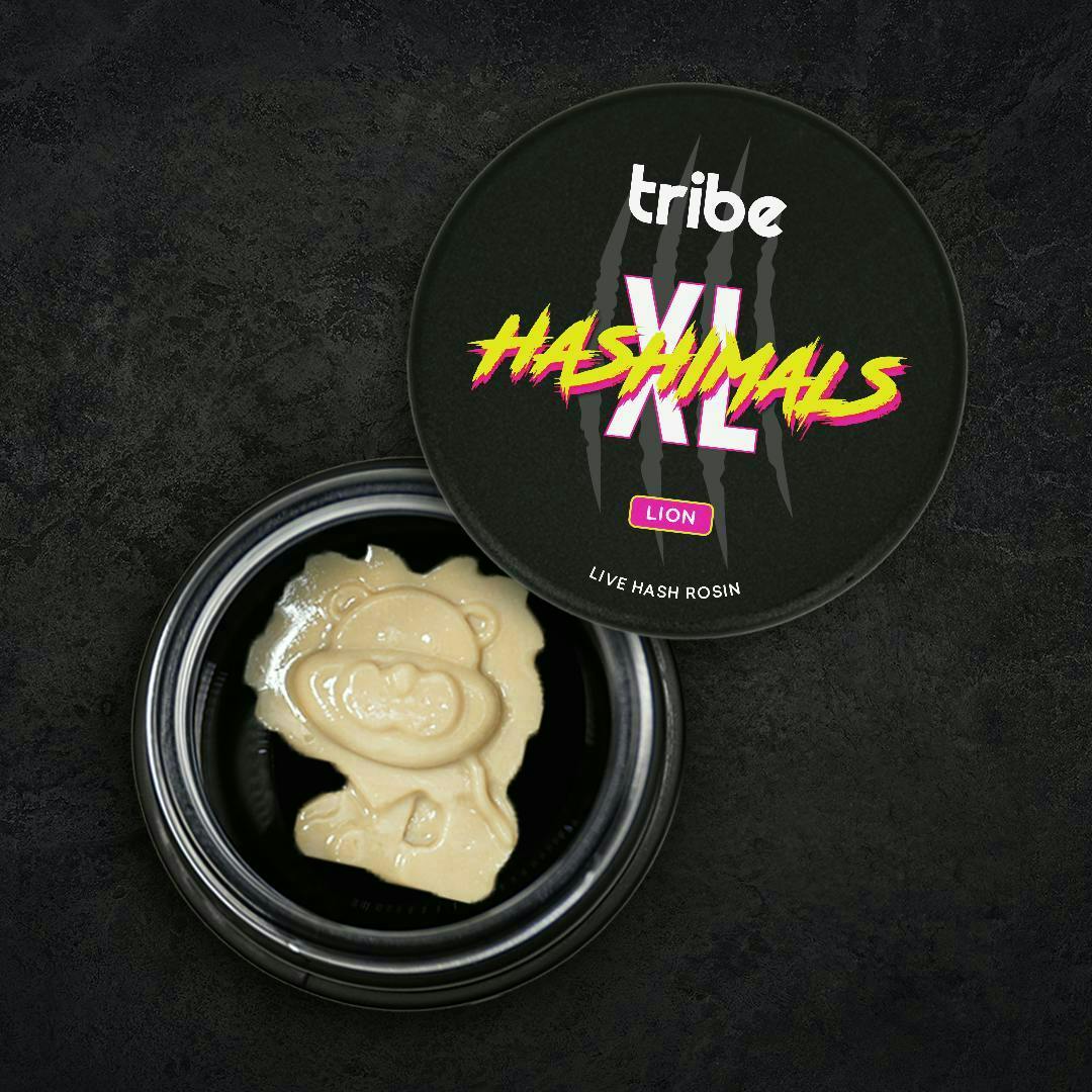 Tribe | OZ Headband | Joints | 1g each | 28pk