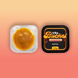 Raspberry Parfait - Live Badder - Bucket - 3.5g