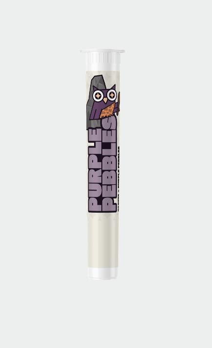 Wise Guys | Purple Pebbles | Pre Roll | 1G