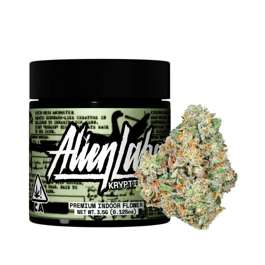 Alien Labs: Kryptidz