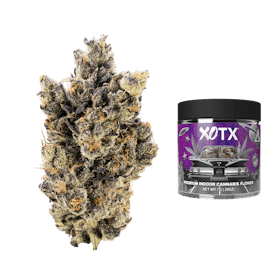 LA Smog 7G