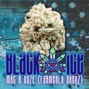 Black Ice - Bulk Flower