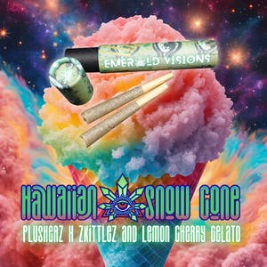 Cone Half Gram Packaged Prerolls