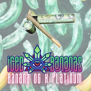 Iced Banana Packaged Preroll