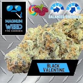 Magnum Black Valentine