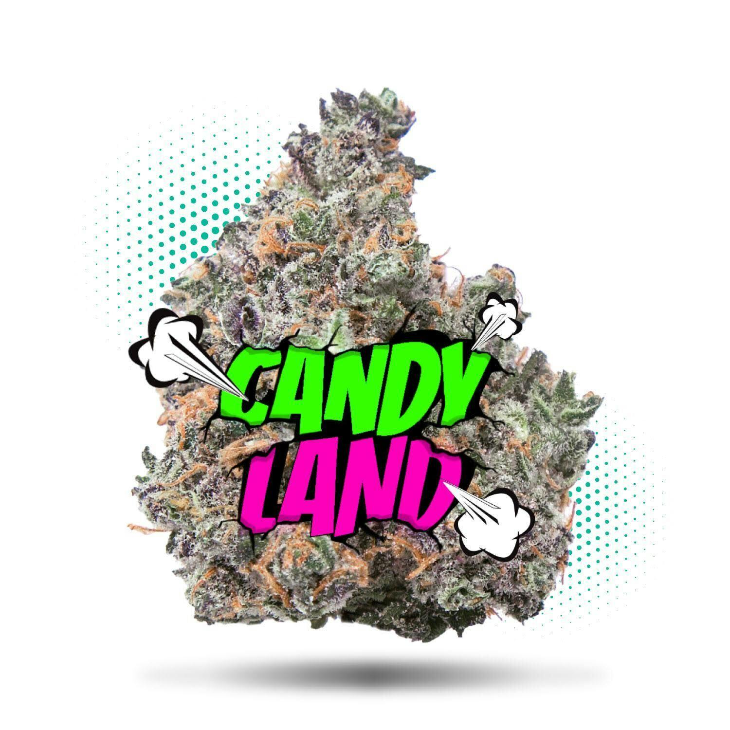 Candyland (aka Kandyland) Weed Strain Near Me | Weedmaps