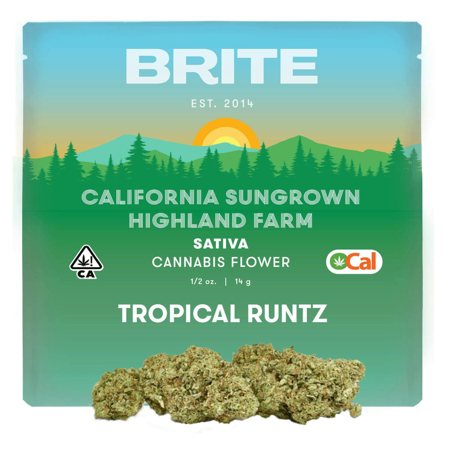 Highland Ocal Flower Sativa Tropical