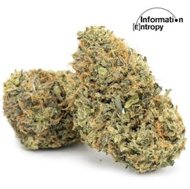 Information Entropy | Original Z | Flower | 14G