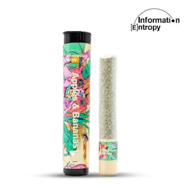 Information Entropy | Apples and Bananas | Cannon | 2G
