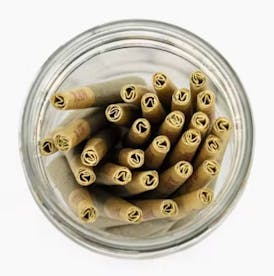 CHAMPS 28g Preroll Pack - Golden Goat
