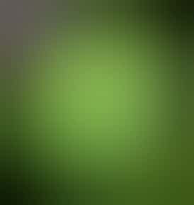 Green Label - Conspiracy Kush - 1G