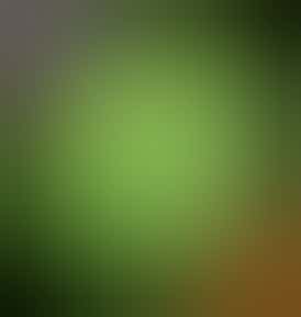 Green Label - False Idol - Cold Cure