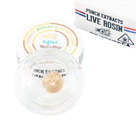 Honey Lime Burger Tier 4 Live Rosin Cold Cure Badder (1g)