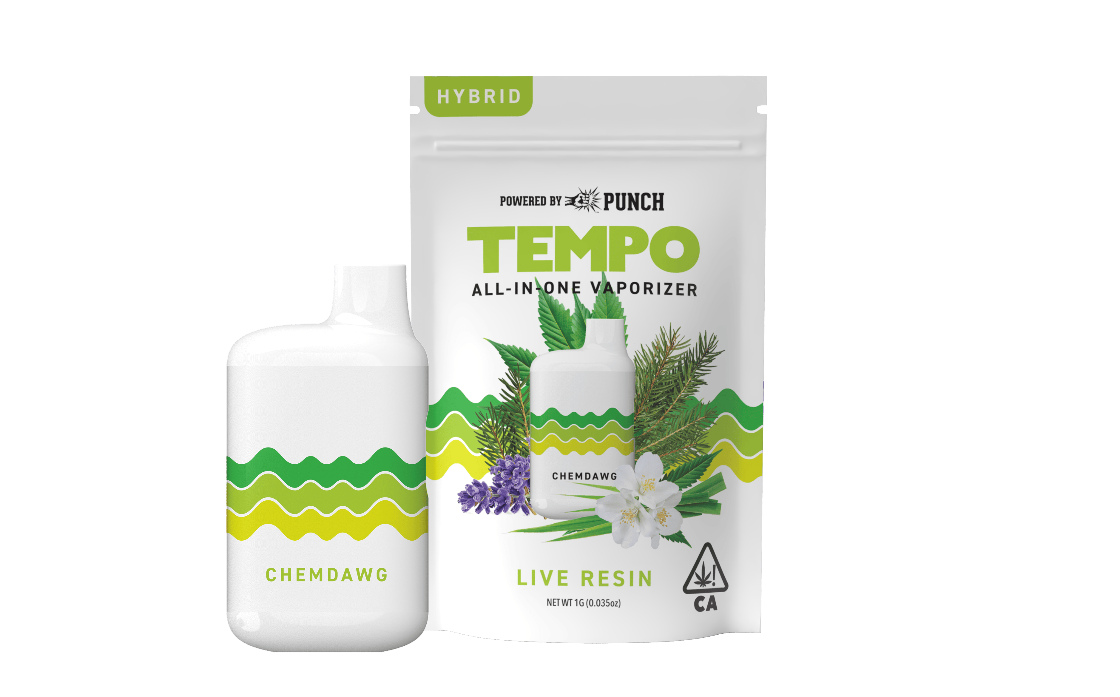 TEMPO — Chemdog