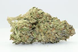 Jungle Cake (Hybrid) - Premium Flower - 1oz. 28g.
