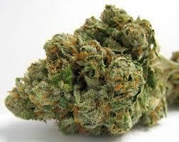 XXX OG (Indica) - Premium Flower - 1/2oz. 14g. - Magic Brothers