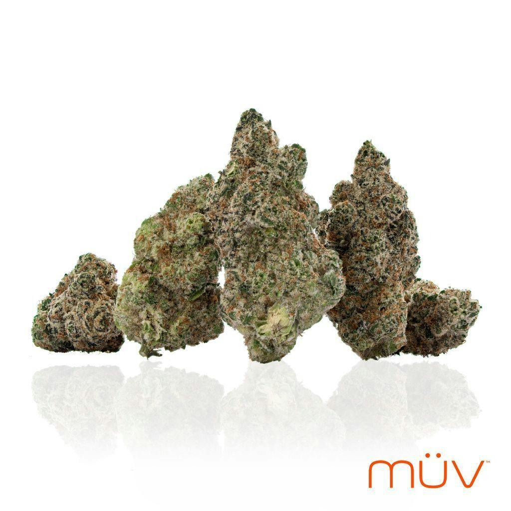 Muv Gator Breath