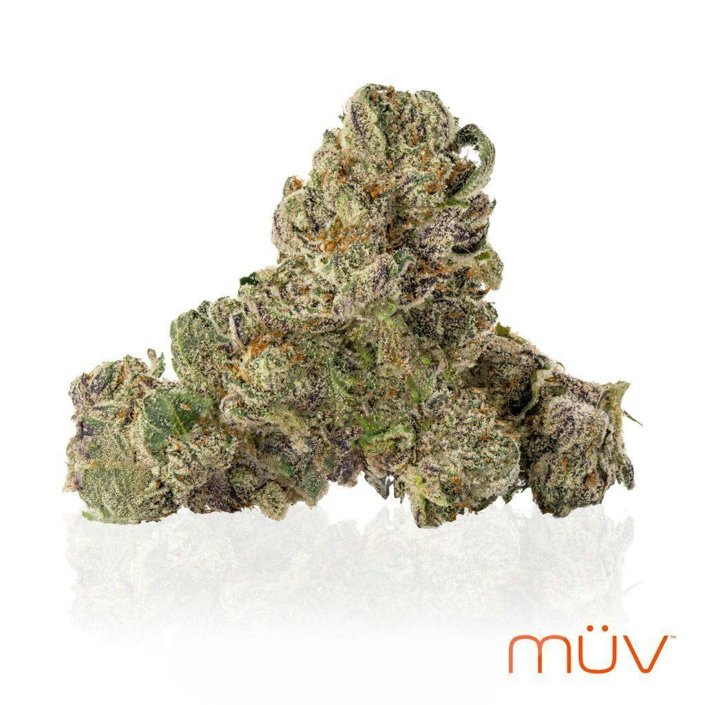 Muv Flower Jokerz Candy #5