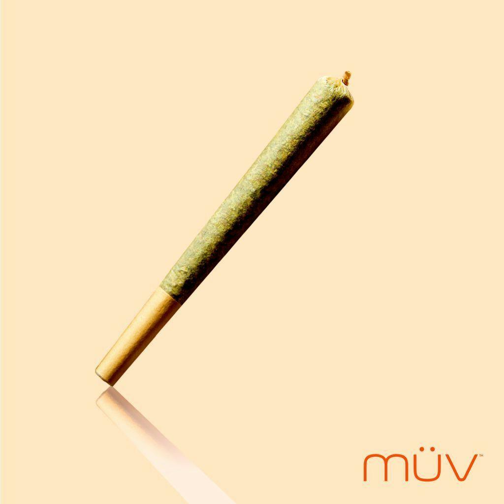 MUV Pre Roll - 0.7g - Gelato at MÜV Cannabis Dispensary