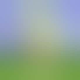 Matcha Mochi - 1g - Live Hash Rosin Batter