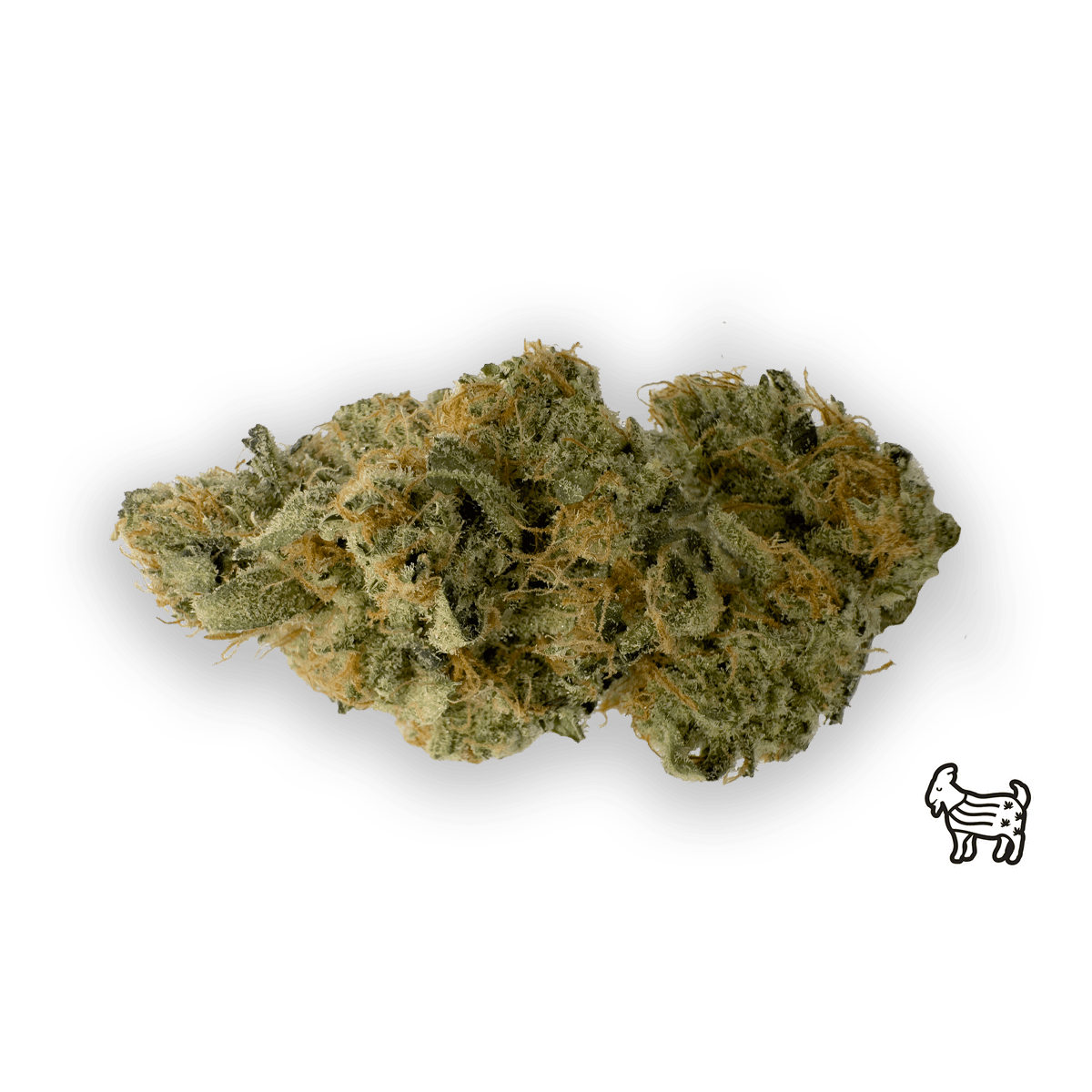 SOUR GOAT | BIG BUDS | 3.5G