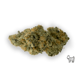 PP FLOWER 1/8oz - Sour Goat