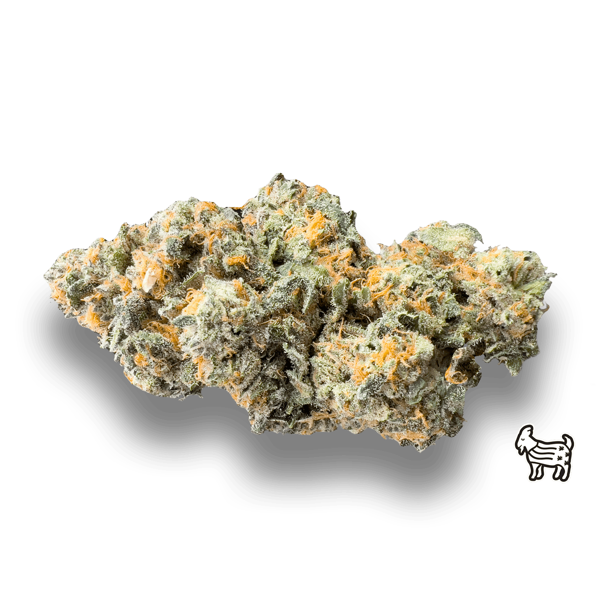 VANILLA FROSTY | BIG BUDS | 3.5G
