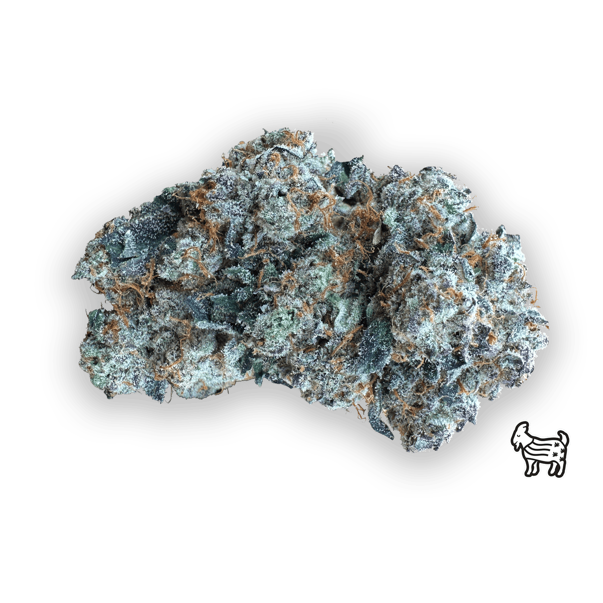 CRIPPY | BIG BUDS | 3.5G by The Laughing Goat