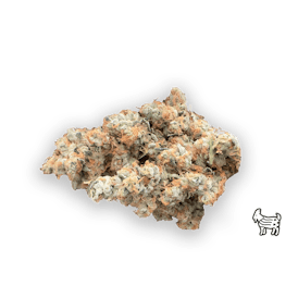 PP FLOWER 1/8oz - Sunset Diesel