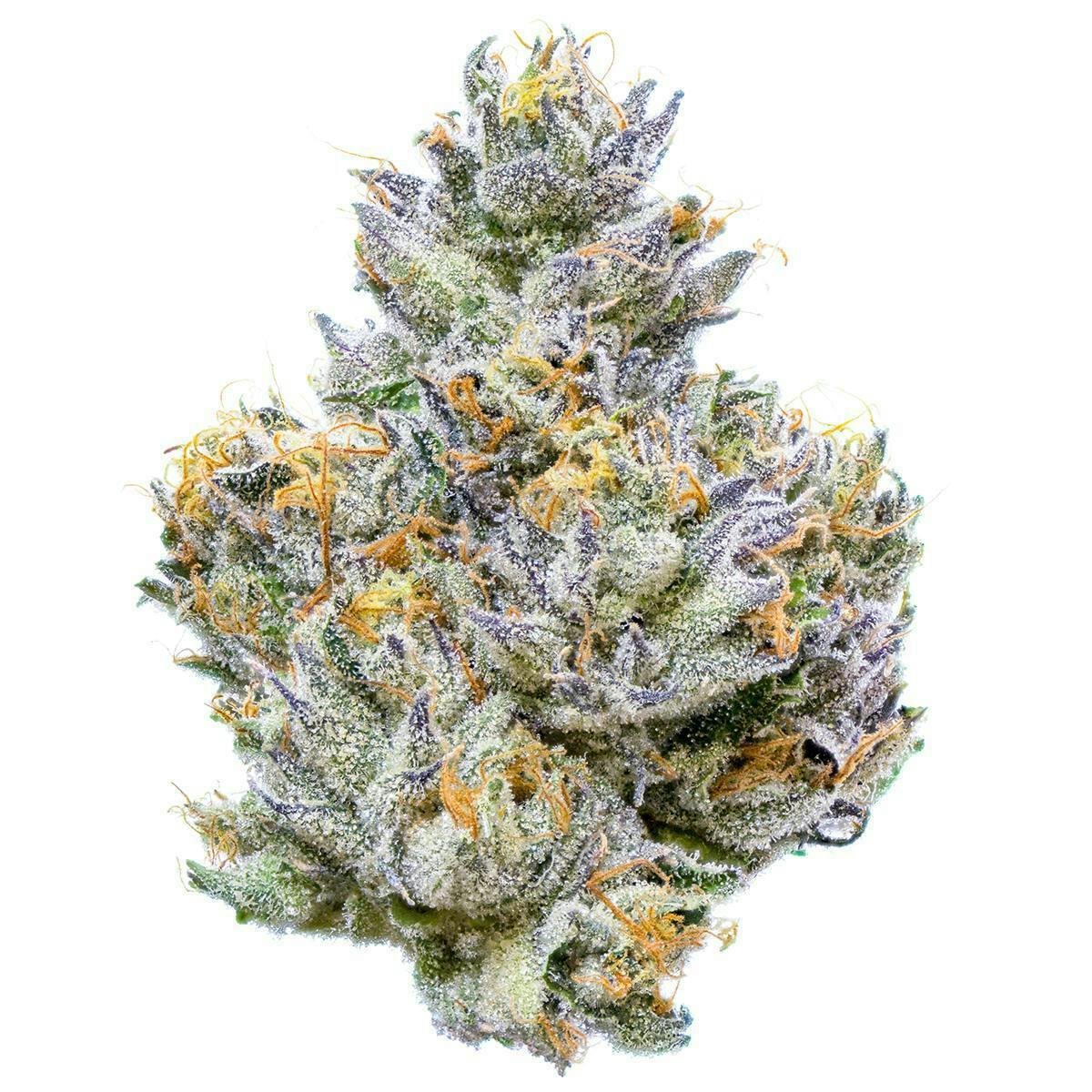 Fig Farms | Mad Dog 64 | Big Buds