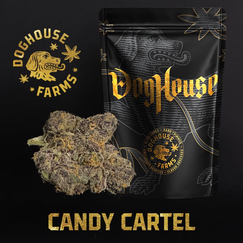 Candy Cartel - Flower - Hybrid