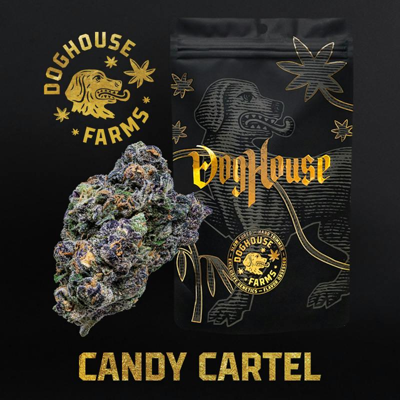 Candy Cartel - Flower - Hybrid