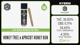 WLE | Honey Tree x Apricot Honey Bun | Infused Pre Roll | 1G