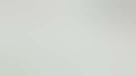 WLE | Honey Tree x Apricot Honey Bun | Infused Pre Roll | 1G