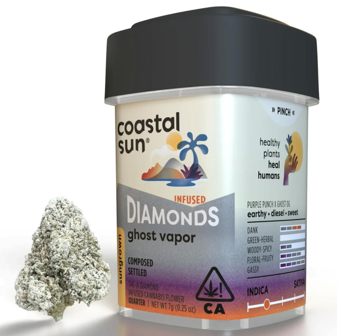 Coastal Sun — Ghost Vapor Og