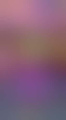 Red Run - Sugar Plum Shatter 1g