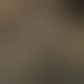 Burly Botanicals | Banana OZ #8 | 3.5G Pre-Pack Flower