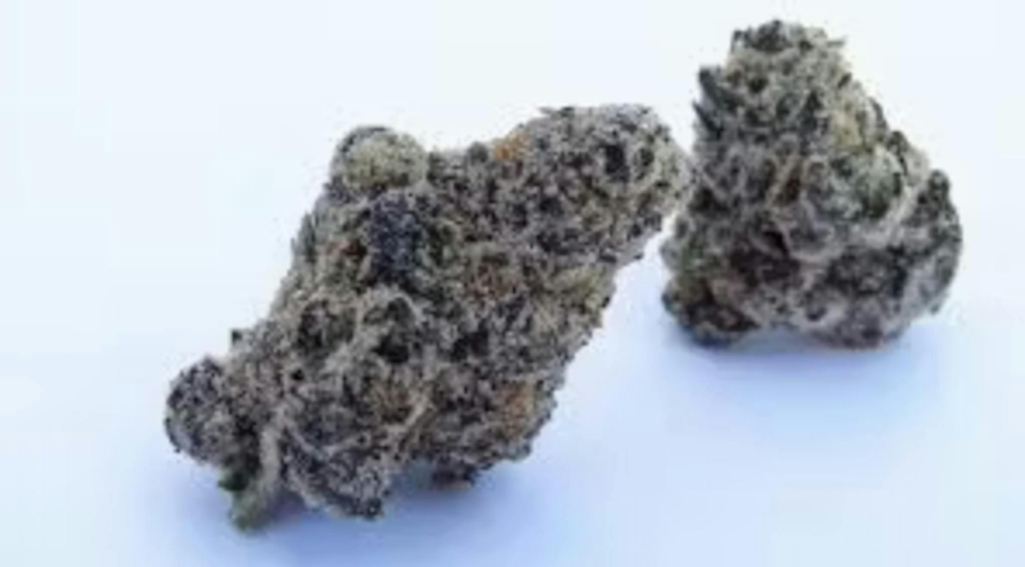 Redbud Roots - Glitter Bomb 3.5g Flower