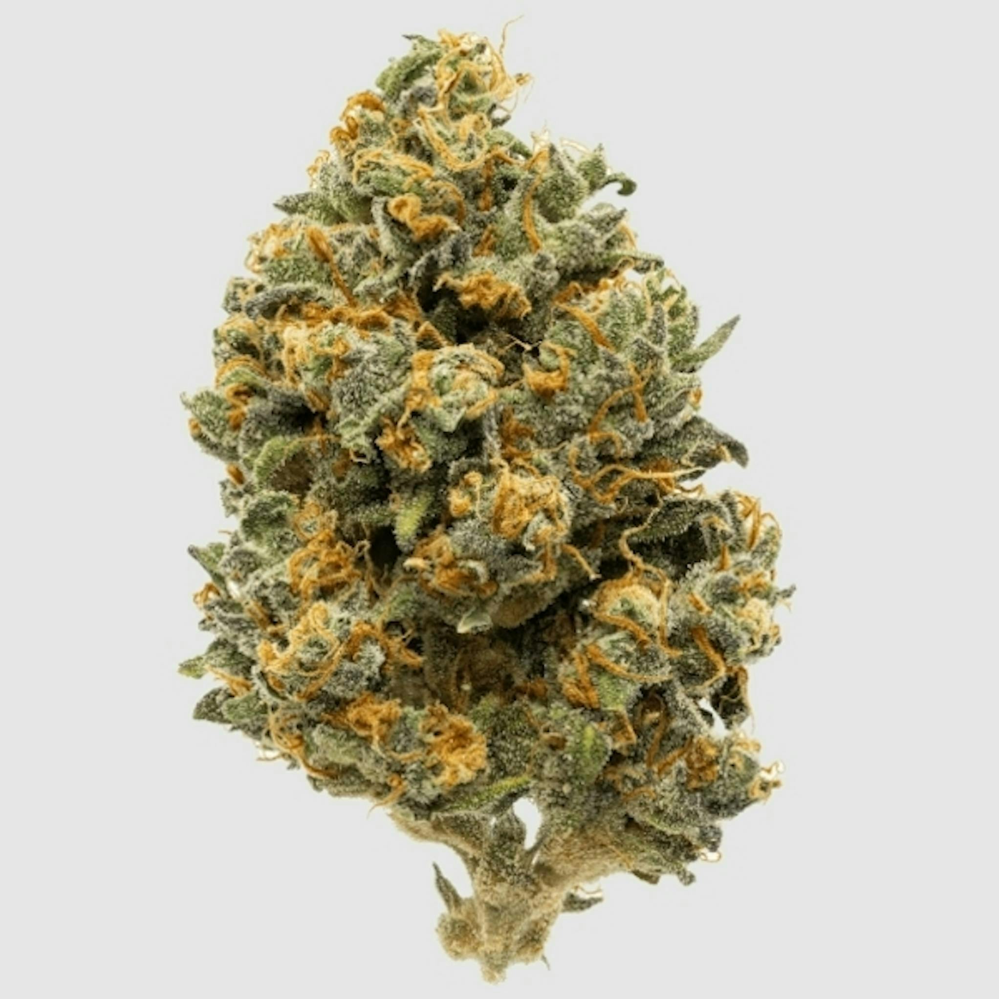 Redbud Roots - Cap Junky 14g Flower