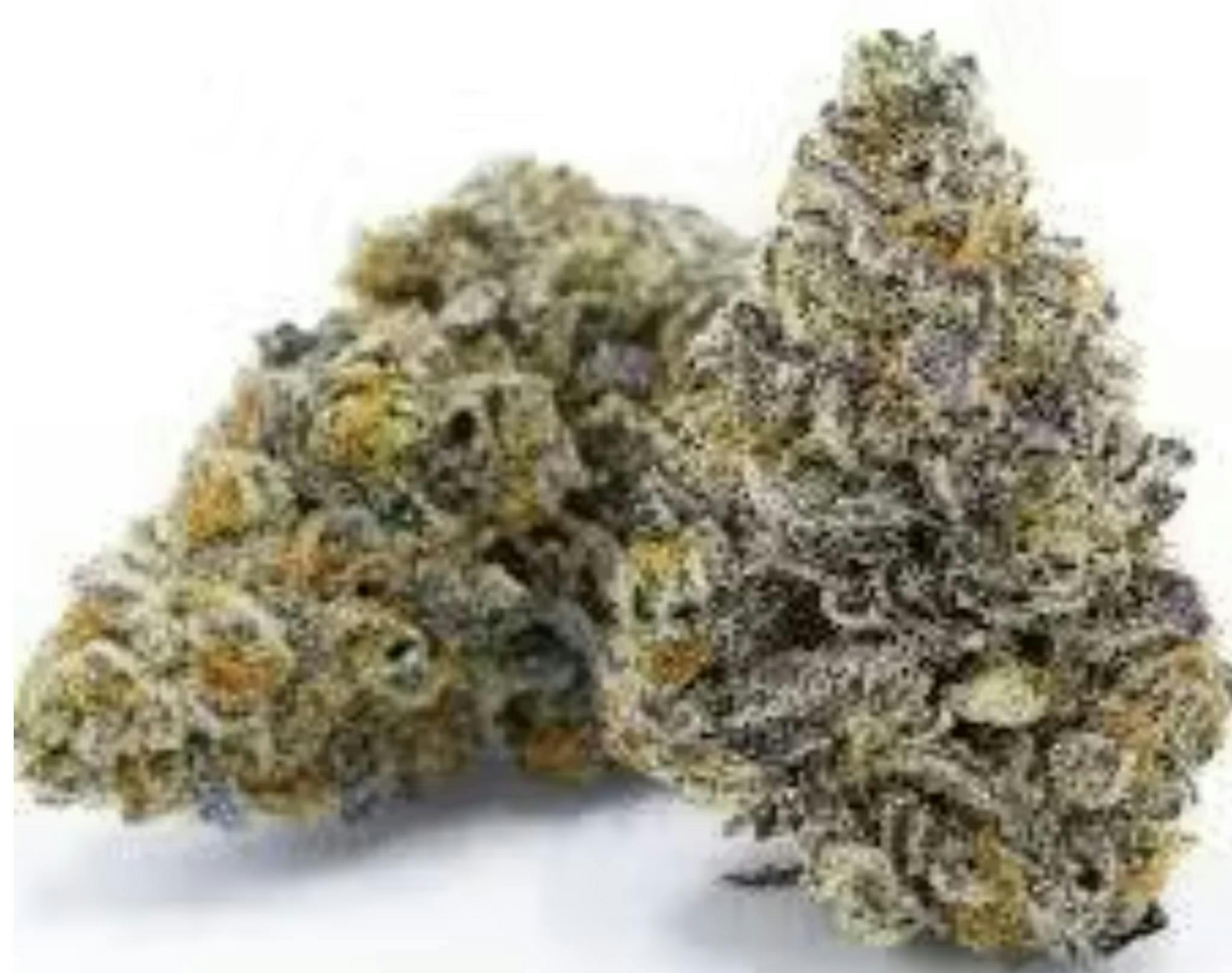 Redbud Roots - Red Nerdz Bulk Deli Flower