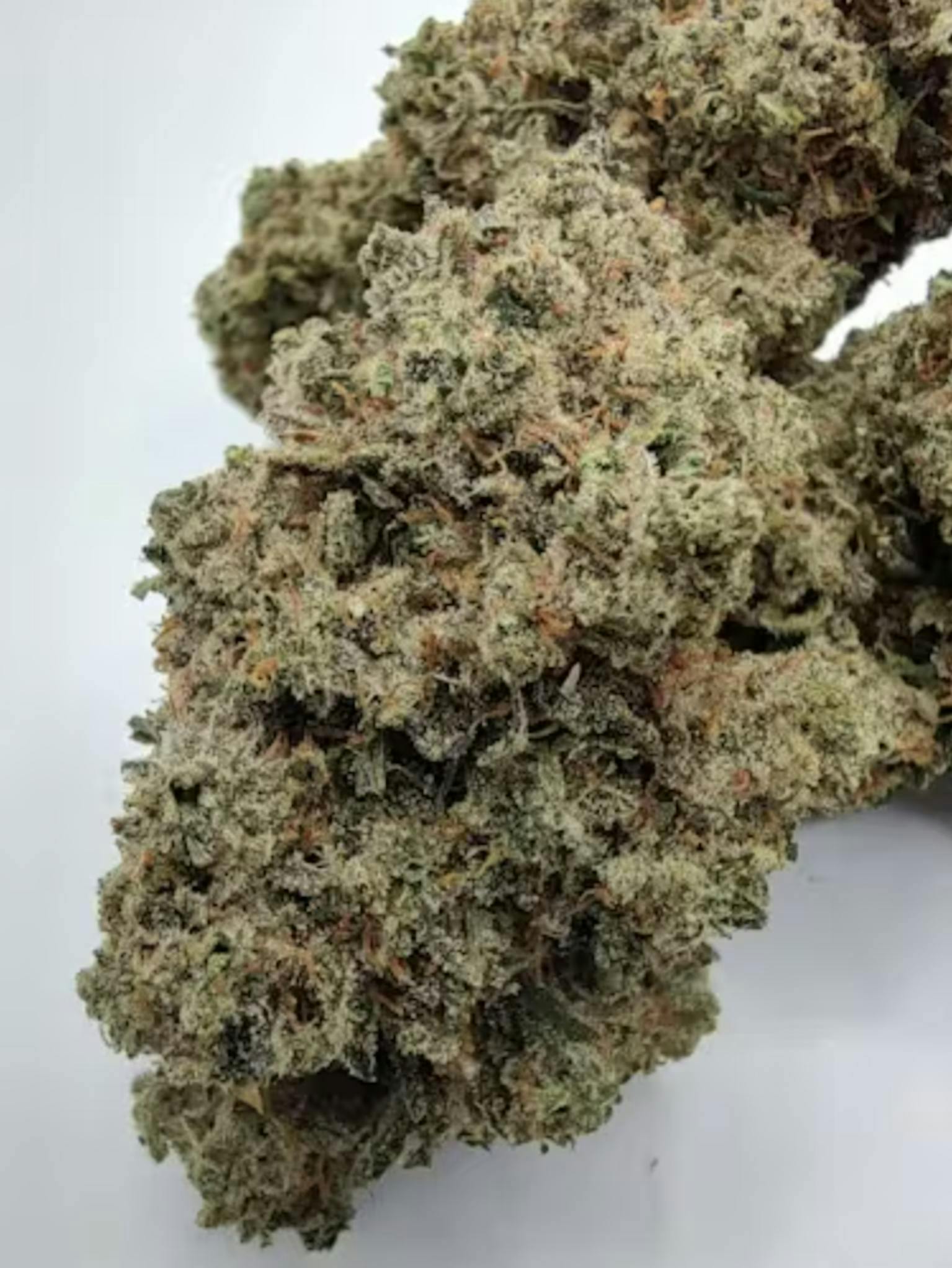Redbud Roots - Whompz 1g Flower
