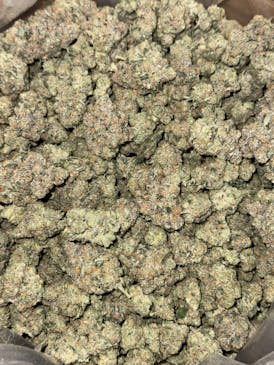 Alley Oop (Gary Payton x CREAM) - Slow Cured Flower - Hybrid - 23.41%