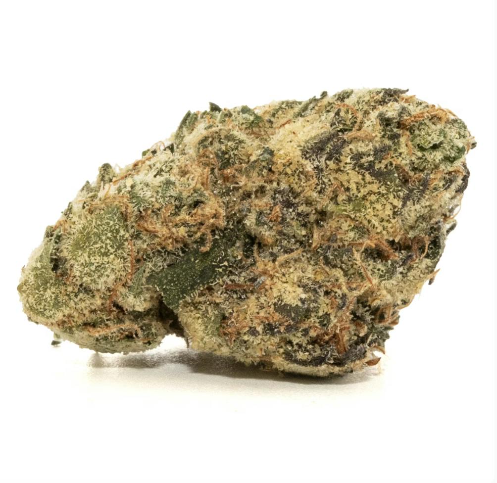 Spiked Flamingo | Gelato Z | Flower | 3.5G