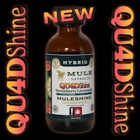 Mule - Quadshine Strawberry Lemonade Muleshine 1000mg