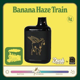 Mule - Banana Haze Train AIO 1g